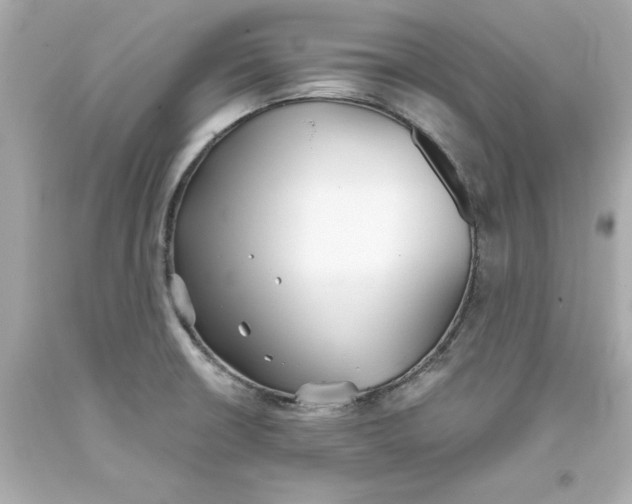 X0000093381426200711011240