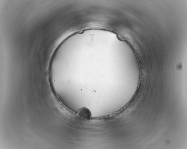 X0000093381427200711011240