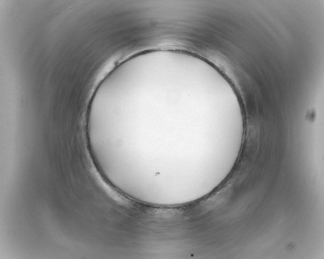 X0000093381429200711011240