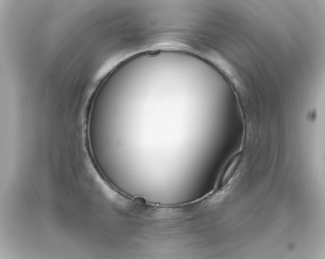 X0000093381430200711011240