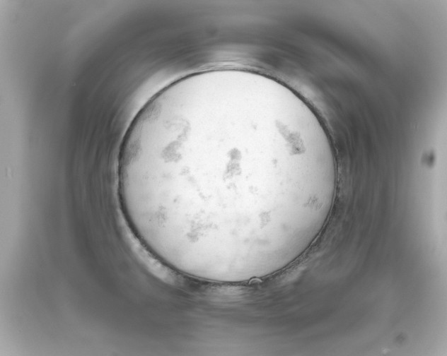 X0000093381431200711011240