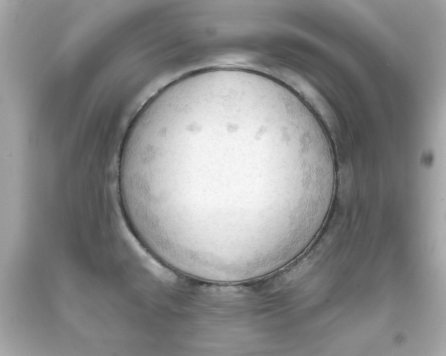 X0000093381432200711011240