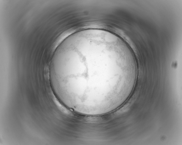 X0000093381433200711011240