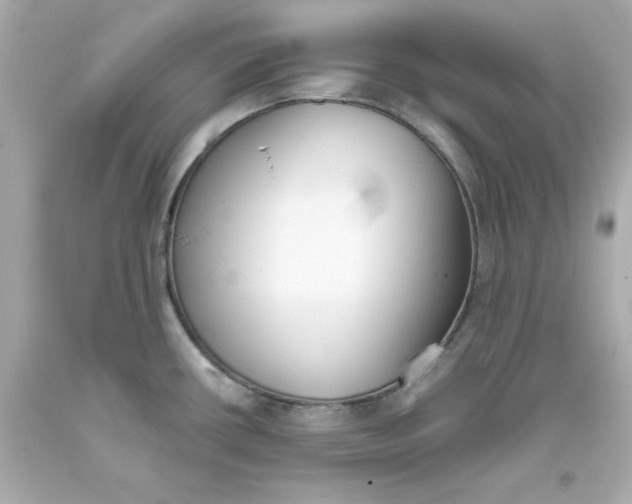 X0000093381434200711011240