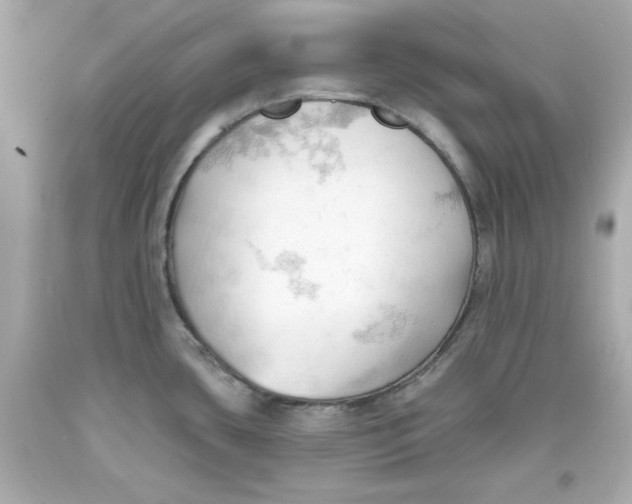 X0000093381435200711011241