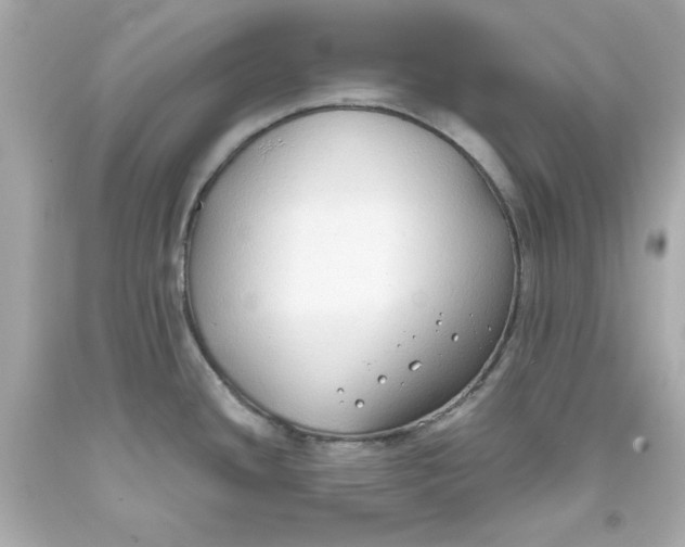 X0000093381436200711011241