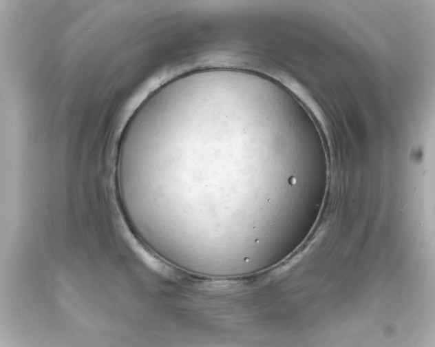 X0000093381437200711011241