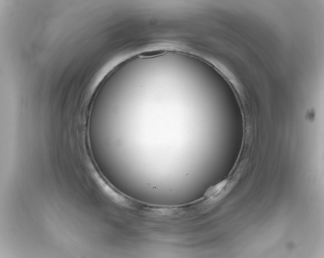 X0000093381438200711011241