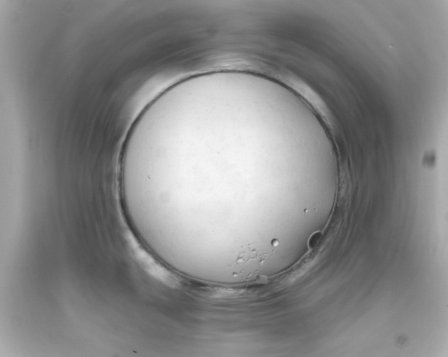 X0000093381439200711011241