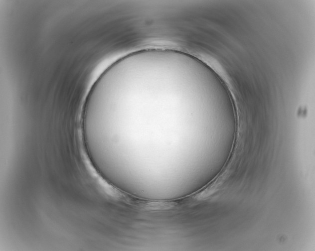 X0000093381440200711011241