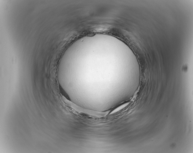 X0000093381441200711011240