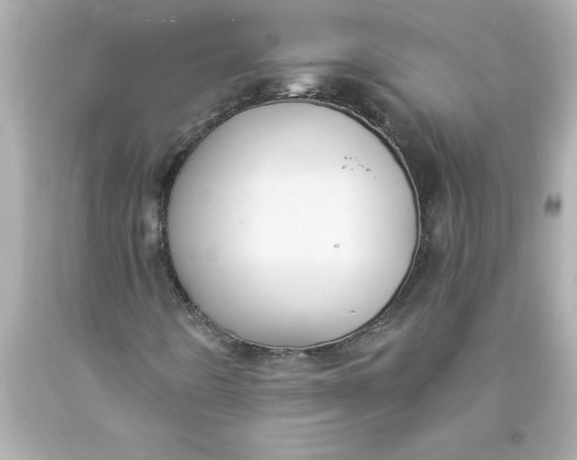 X0000093381442200711011240