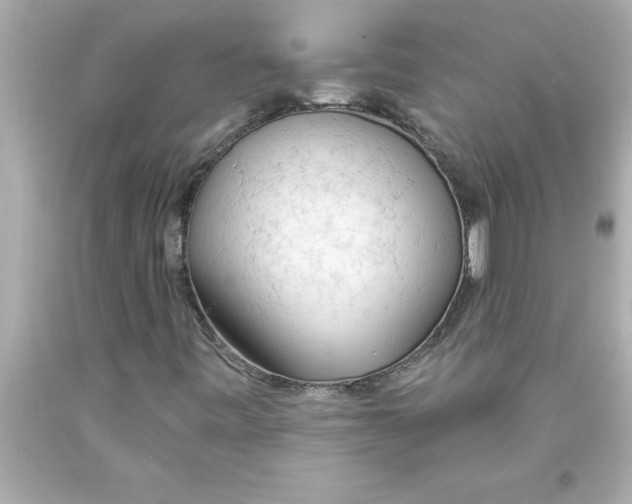 X0000093381443200711011240