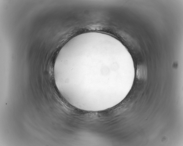 X0000093381444200711011240