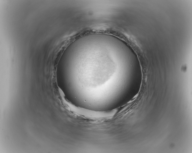 X0000093381445200711011240