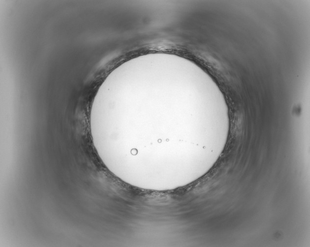 X0000093381446200711011240