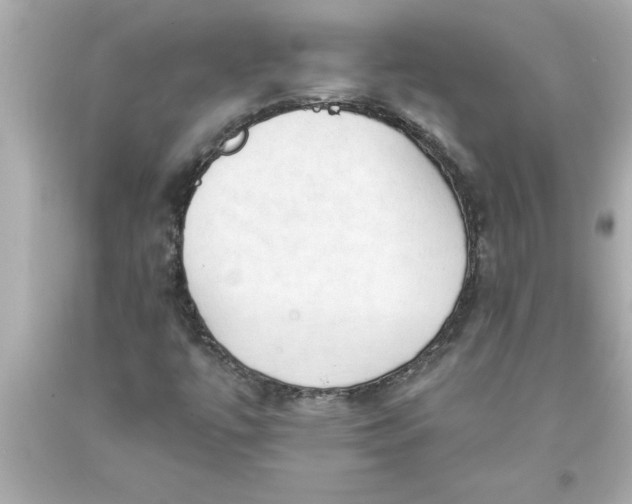 X0000093381447200711011240