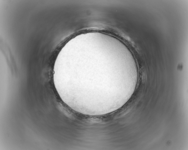 X0000093381448200711011240