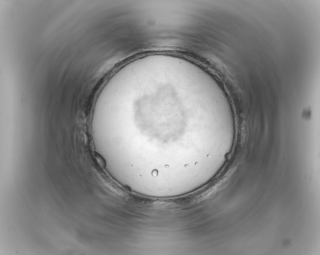 X0000093381449200711011240