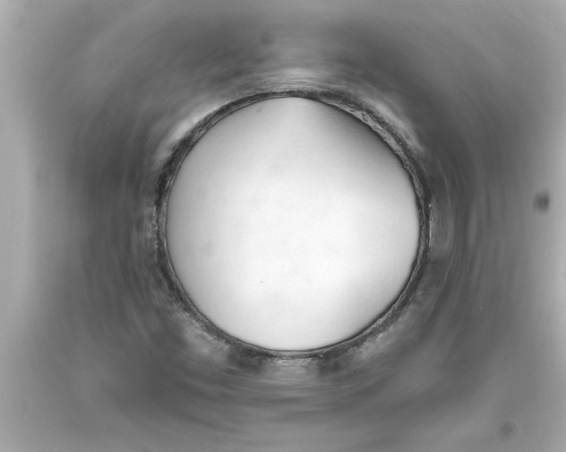 X0000093381453200711011240