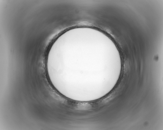 X0000093381454200711011240