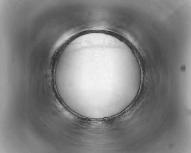 X0000093381456200711011240