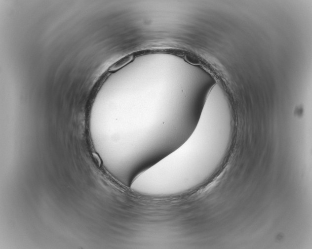 X0000093381457200711011240