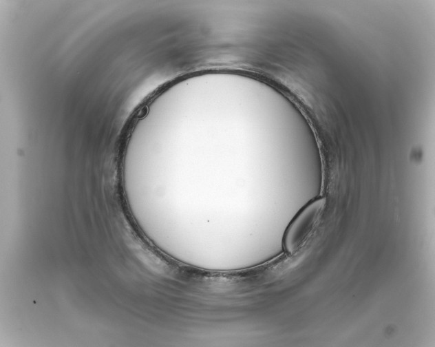 X0000093381458200711011240