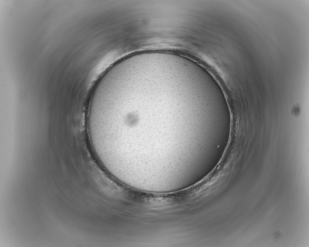 X0000093381459200711011240