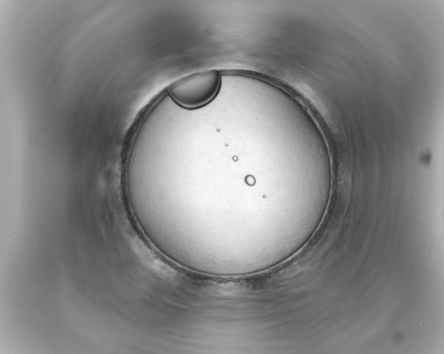 X0000093381460200711011240