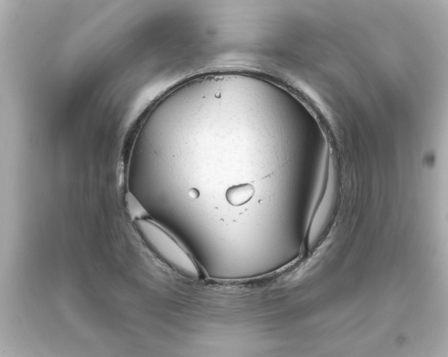 X0000093381461200711011240