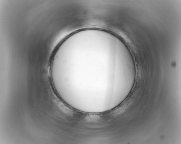 X0000093381462200711011240