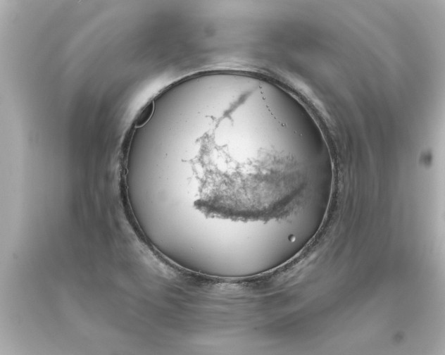 X0000093381463200711011240