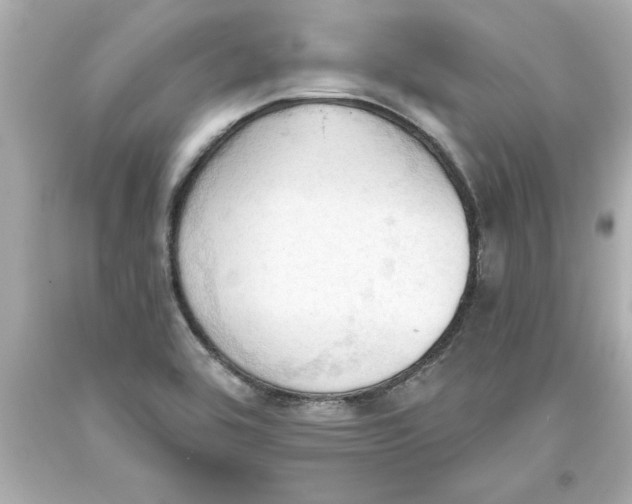 X0000093381464200711011239