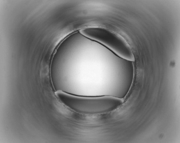 X0000093381465200711011239