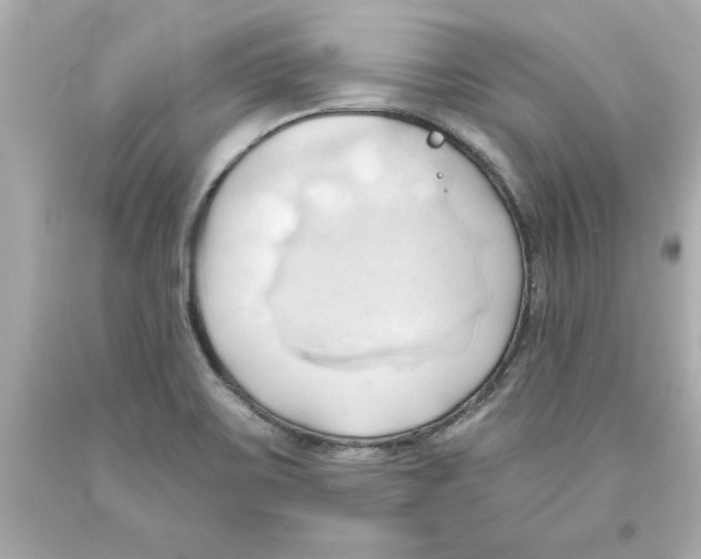 X0000093381467200711011239