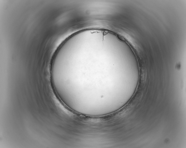 X0000093381468200711011239