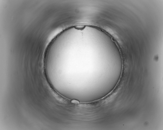 X0000093381469200711011239