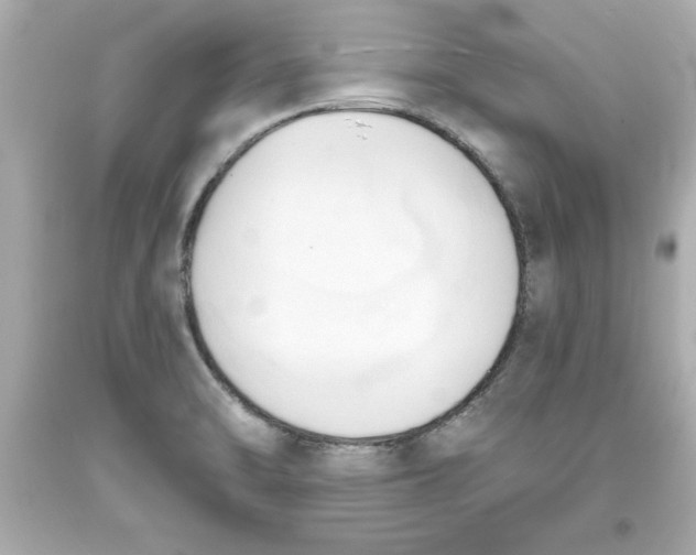 X0000093381470200711011239