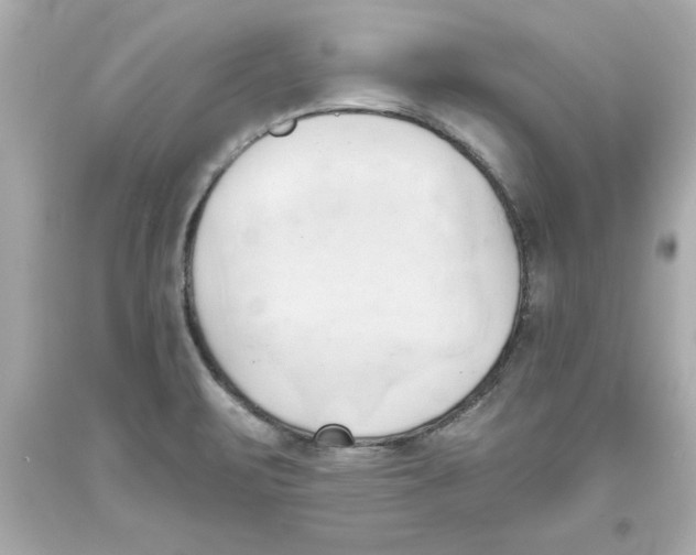 X0000093381471200711011239