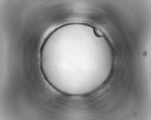 X0000093381472200711011239