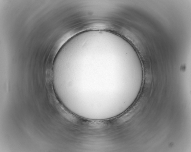 X0000093381473200711011239