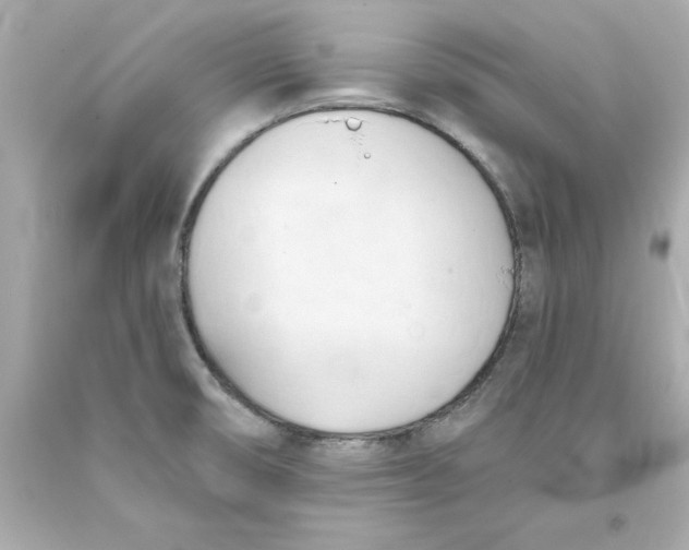 X0000093381474200711011239