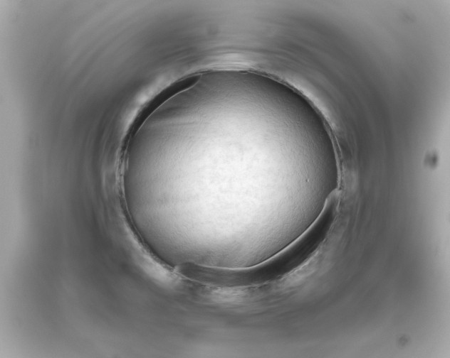 X0000093381477200711011239