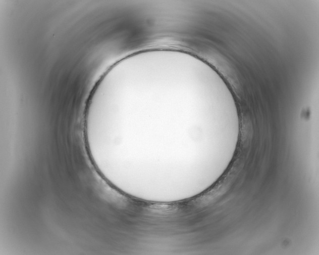 X0000093381478200711011239