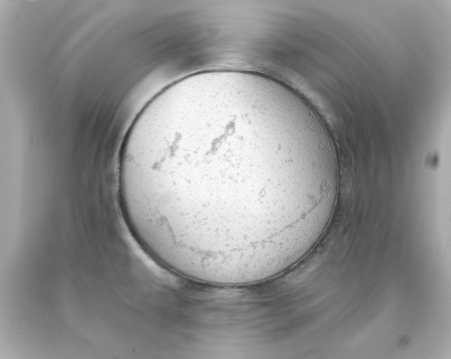 X0000093381479200711011239