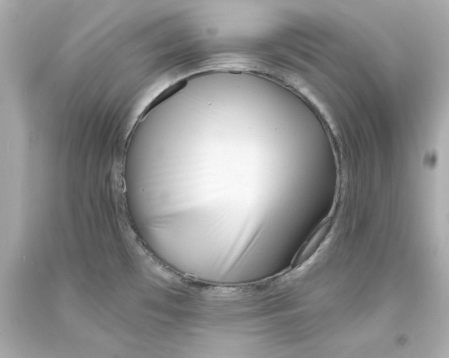 X0000093381481200711011239