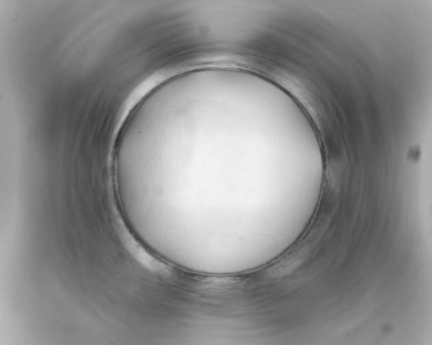 X0000093381482200711011239