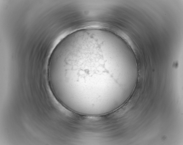 X0000093381483200711011239