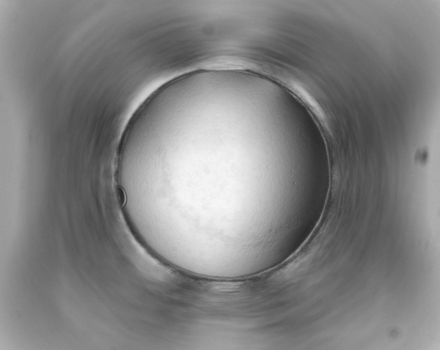 X0000093381484200711011239